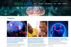 Westlab2